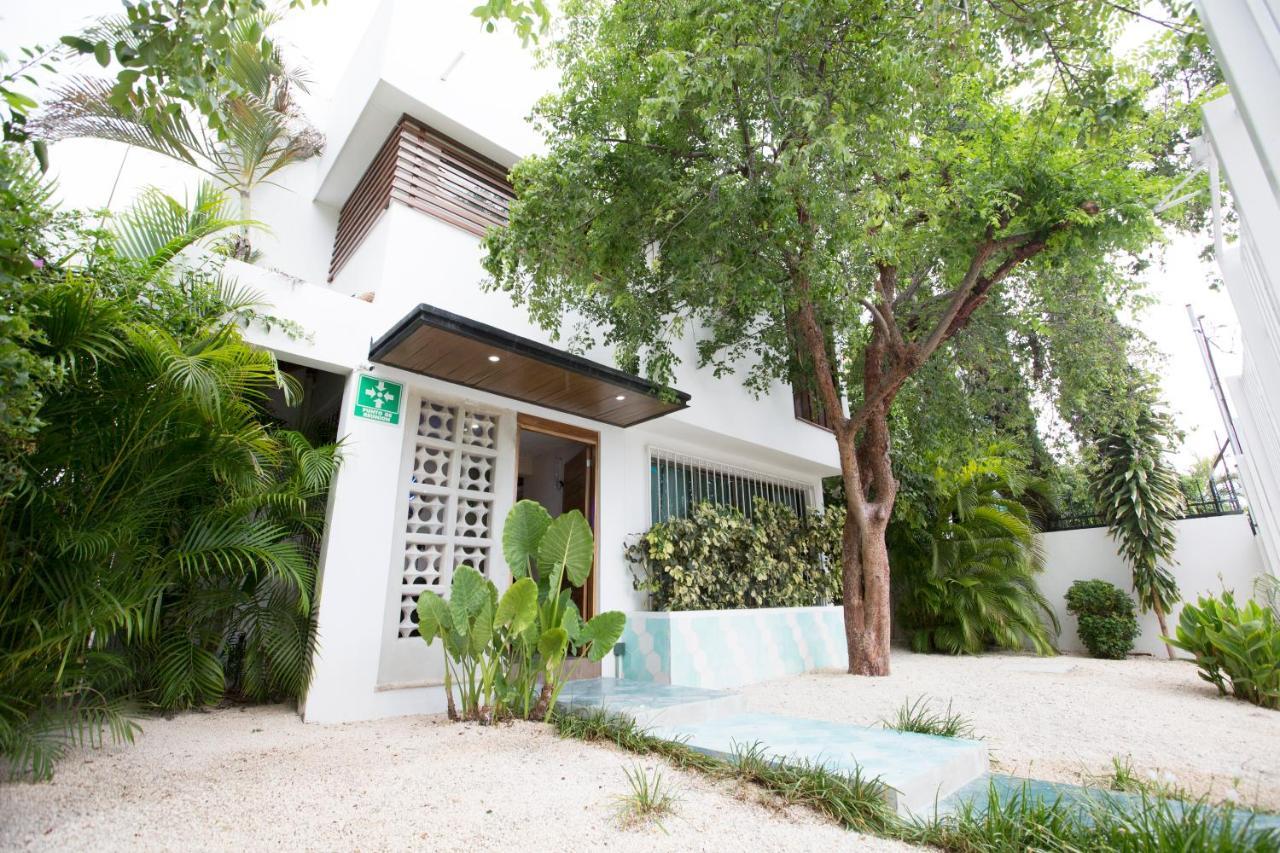 Cielo Neuf Bed & Breakfast Канкун Екстериор снимка